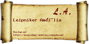Leipniker Amália névjegykártya